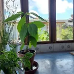Villa Avec Jardin, Terrasse Couverte, Et Bain Nordique - 8 Personnes