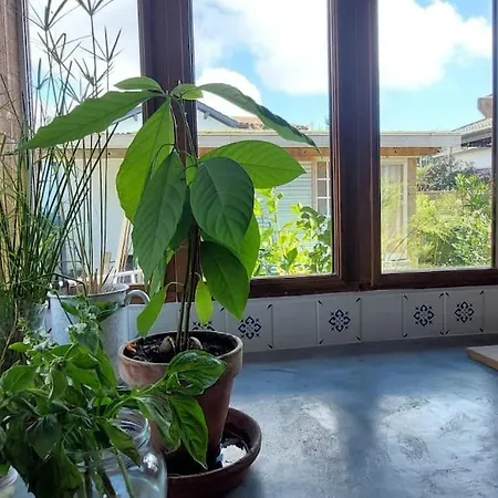 Vila Avec Jardin, Terrasse Couverte, Et Bain Nordique - 8 Personnes